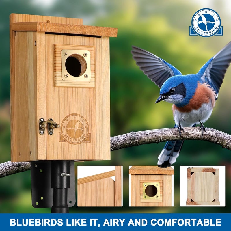 SISTERBIRD 2 Pack Bird Houses for Outside Clearance with Copper Guard, Cedar Bird House Outdoor, Bluebird Finch Swallow Wren Chickadee Assembly Required - Image 2
